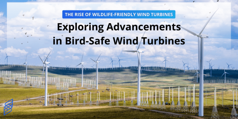 Exploring Advancements in Bird-Safe Wind Turbines