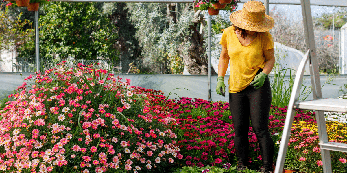 Gardening Tips and Ideas: Tips for Starting a Garden, Seasonal Planting Guides, and Benefits of Gardening for Mental Health