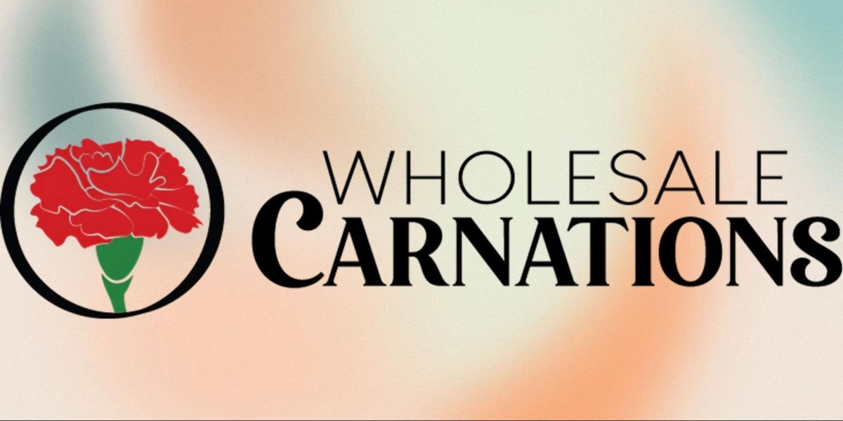 Wholesale Carnations Shaping the Floral Industry with Innovation and Excellence