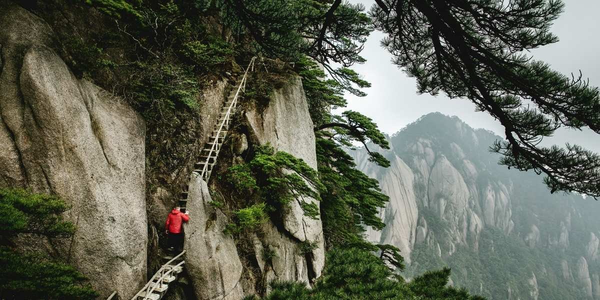 Cultivating Resilience: Practical Strategies for Navigating Life's Difficulties