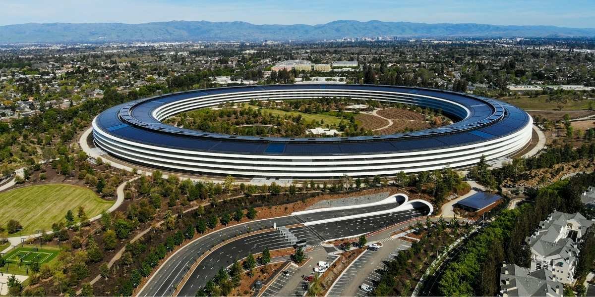 Silicon Valley 2.0: Gen Z Founders and the New Age of AI Innovation