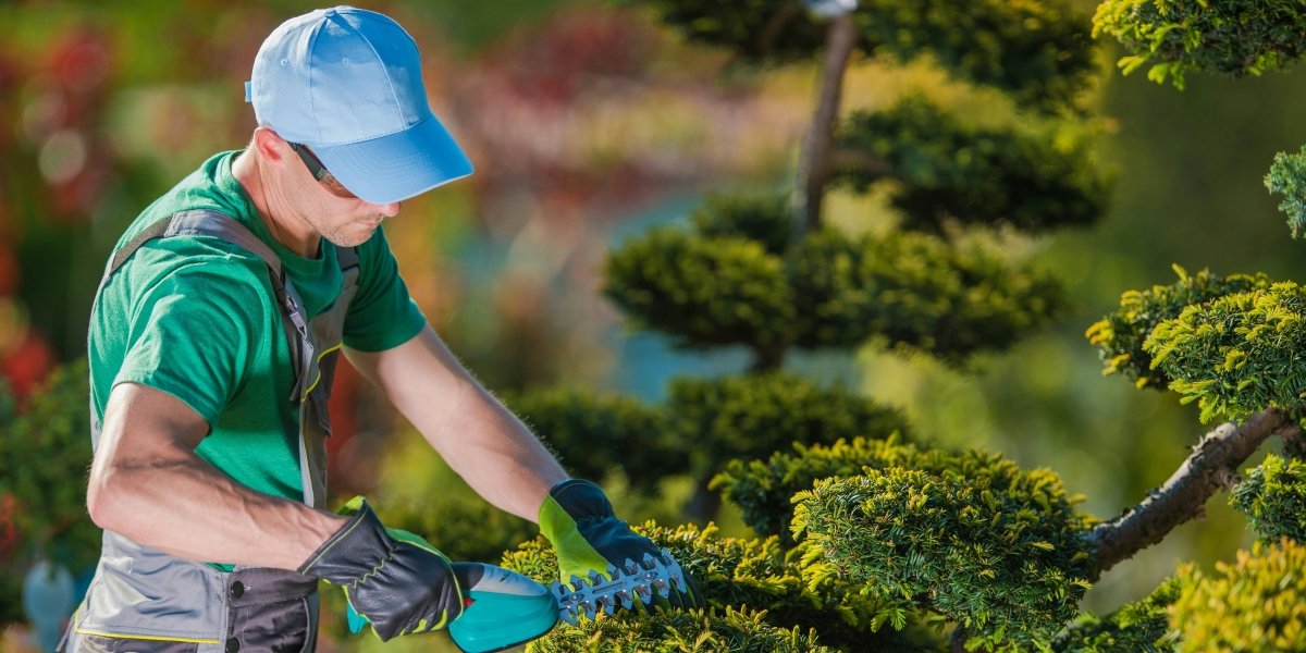 Truvian Lawn Care: Crafting Beautiful Outdoor Spaces Across Montgomery, Alabama