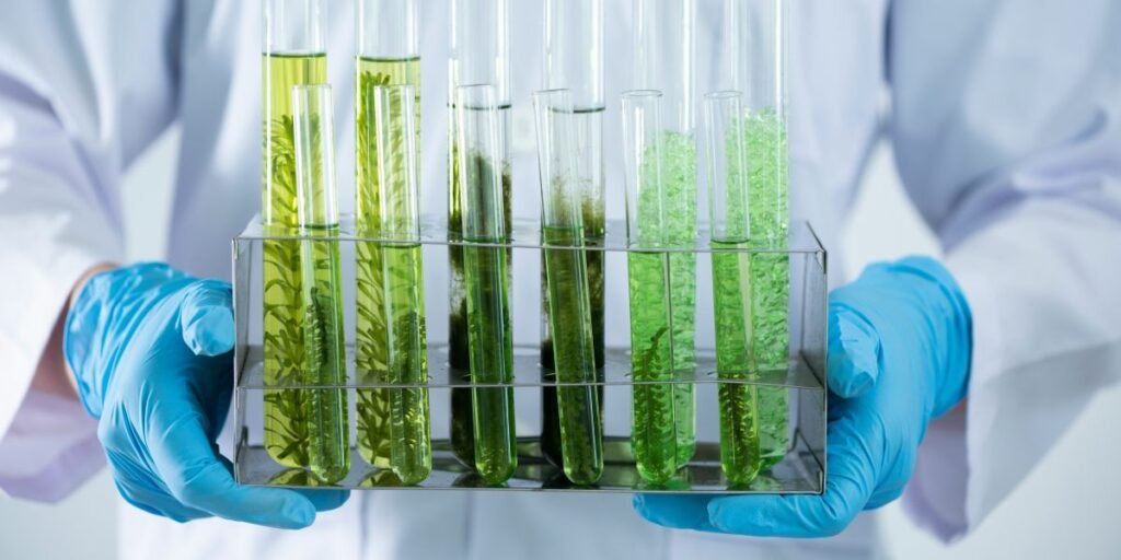 Balancing Act U.S. Nears Finalization of 2026 Biofuel Quotas, Drops Import Penalties