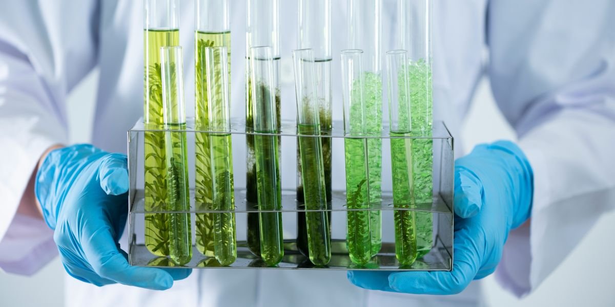 Balancing Act U.S. Nears Finalization of 2026 Biofuel Quotas, Drops Import Penalties