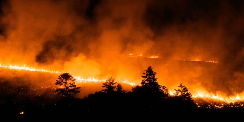 Hawk Fire Burns Past 15,000 Acres Northwest of Reno With Zero Containment as 87,000 Residents Face Evacuation